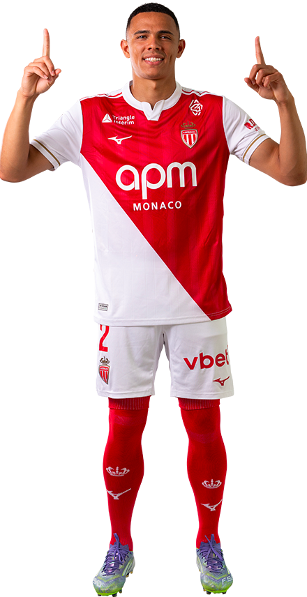 插图1–范德森–摩纳哥中文站点